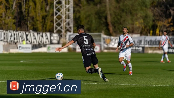 星空网官网登录入口平台生态图